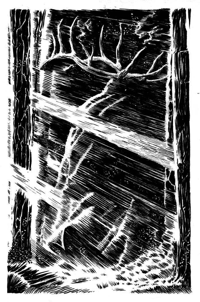 A glimpse of the King of the Forest, Ink on Watercolor Paper
